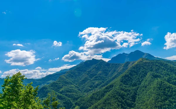 Montañas Pintorescas Corazón Montenegro —  Fotos de Stock