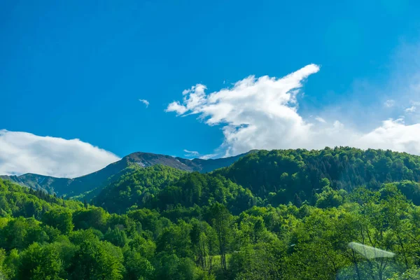 Montenegró Szívében Festői Hegyek — Stock Fotó