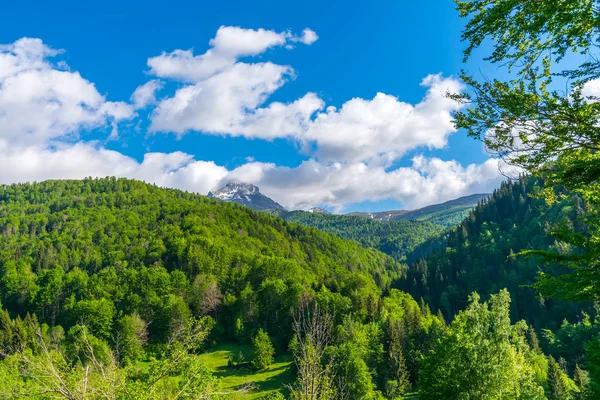 Γραφική Θέα Του Τοπίου Στα Βουνά Της Komovi Μαυροβούνιο — Φωτογραφία Αρχείου