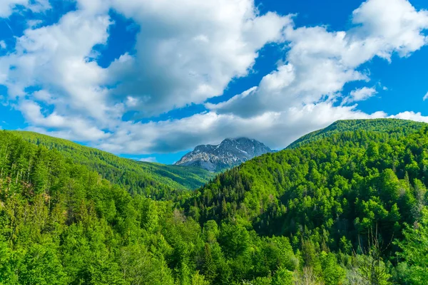 黑山科莫维山区景观景观 — 图库照片