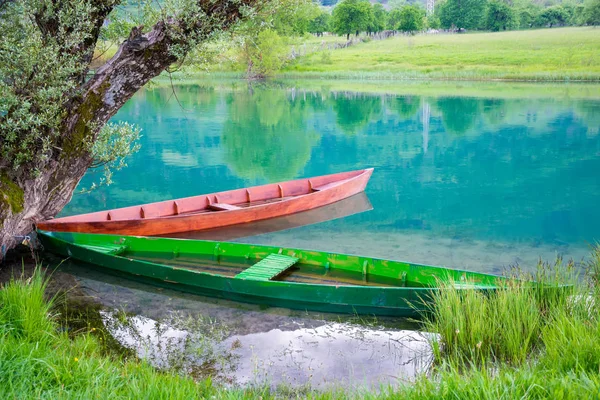 Zwei Holzboote Baumstamm Ufer Gekettet — Stockfoto