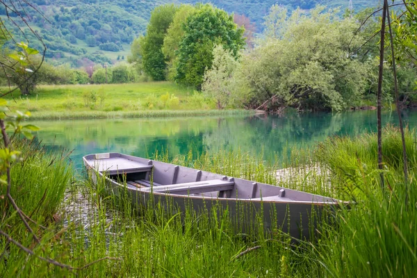 Vieux Bateau Pêche Amarré Rive Dans Les Roseaux — Photo