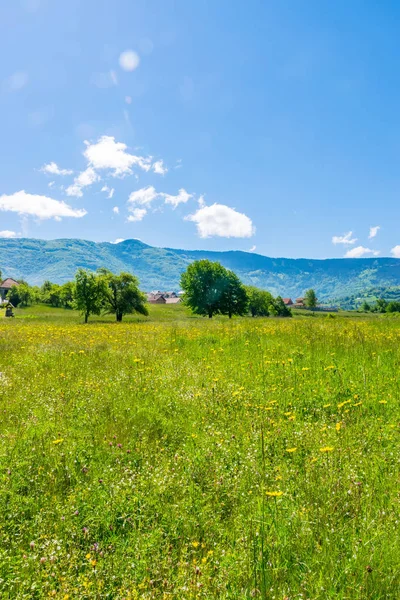 Dağ doruklarına Karadağ arasında alışılmadık Plav Gölü