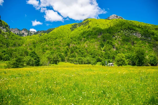 高峰岩の背景に風光明媚な緑の草原 — ストック写真