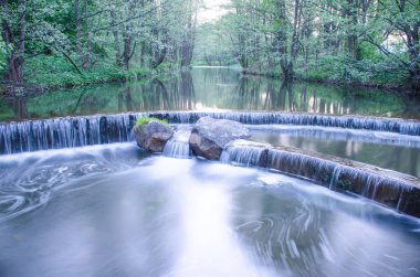 Park'taki küçük pitoresk brook üzerinde küçük şelale