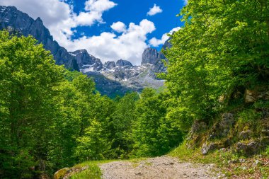 yüksek yeşil dağlarda kayalık yol virajlı 