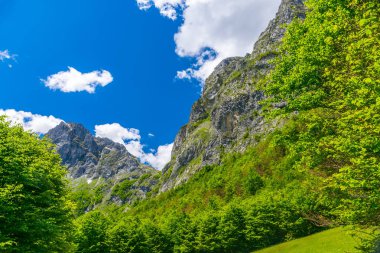 Yüksek Dağları'nın karlı zirveleri doğal görünümünü