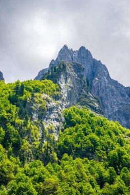 Yüksek Dağları'nın karlı zirveleri doğal görünümünü