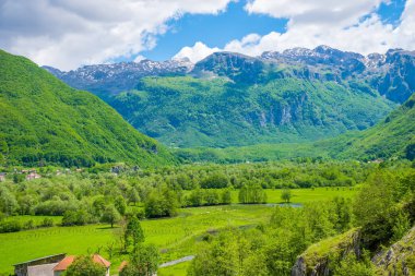 Yüksek karla kaplı kayalar arasında doğal yeşil çayır