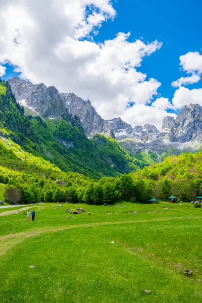 Natursköna Gröna Ängen Bakgrund Hög Nådde Stenar — Stockfoto