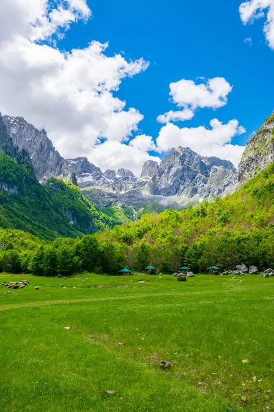 Scenic Green Meadow Background High Peaked Rocks — Stock Photo, Image