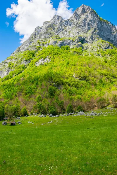 Сценический Зеленый Луг Фоне Высоких Пиковых Пород — стоковое фото