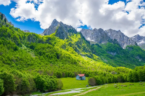Prados Rurais Verdes Pitorescos Perto Grandes Montanhas Altas — Fotografia de Stock