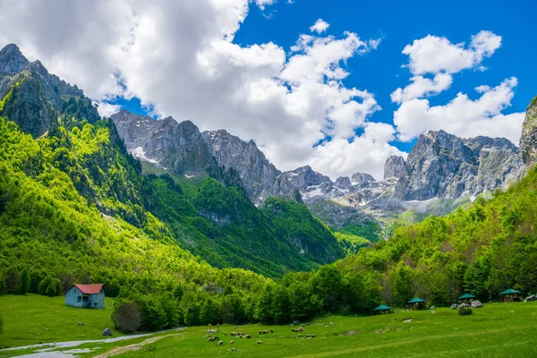 Prados Rurais Verdes Pitorescos Perto Grandes Montanhas Altas — Fotografia de Stock