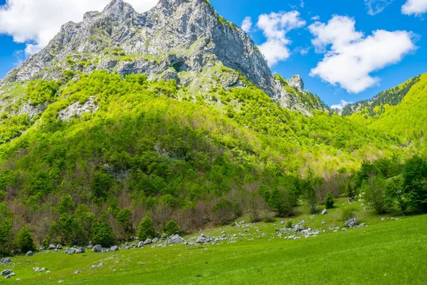 Γραφικό Λιβάδια Και Δάση Ανάμεσα Ψηλά Βουνά — Φωτογραφία Αρχείου