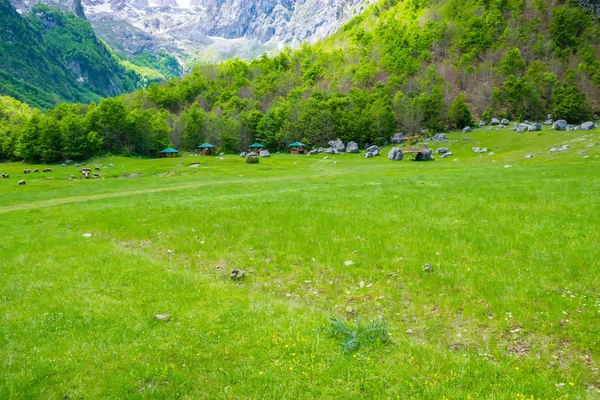 Pintorescos Prados Verdes Cerca Grandes Montañas Altas — Foto de Stock