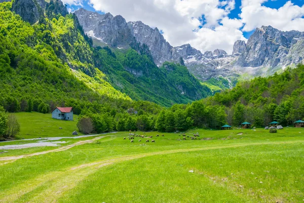 Prados Rurais Verdes Pitorescos Perto Grandes Montanhas Altas — Fotografia de Stock