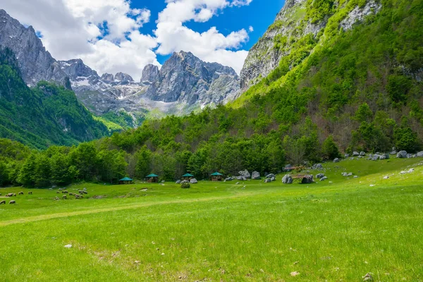 Pintorescos Prados Verdes Cerca Grandes Montañas Altas —  Fotos de Stock