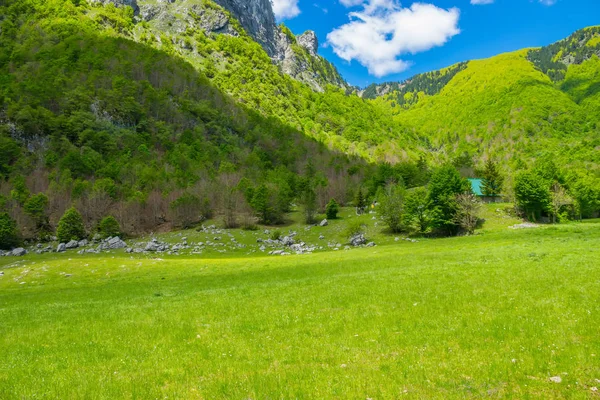 Γραφική Εξοχή Πράσινα Λιβάδια Κοντά Στο Μεγάλο Ψηλά Βουνά — Φωτογραφία Αρχείου