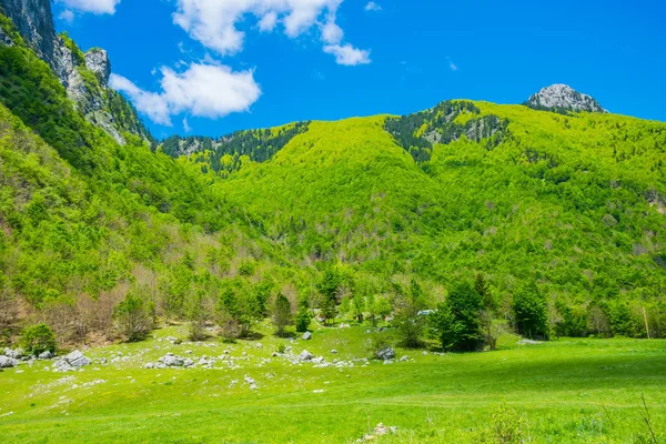 Γραφικό Λιβάδια Και Δάση Ανάμεσα Ψηλά Βουνά — Φωτογραφία Αρχείου