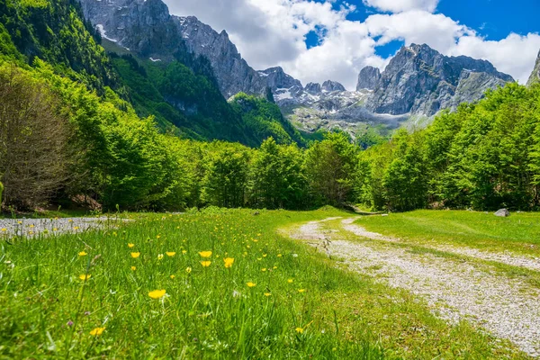 Prados Pitorescos Florestas Entre Altas Montanhas — Fotografia de Stock