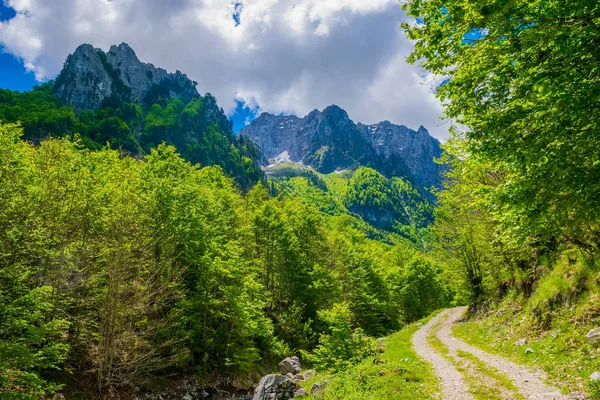 Estrada Rochosa Sinuosa Altas Montanhas Verdes — Fotografia de Stock