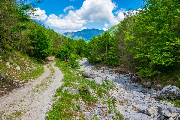 yüksek yeşil dağlarda kayalık yol virajlı 