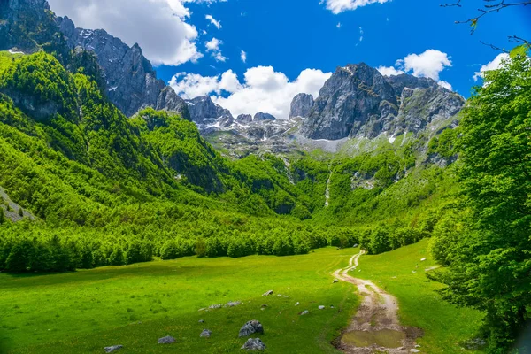 Prados Pitorescos Florestas Entre Altas Montanhas — Fotografia de Stock