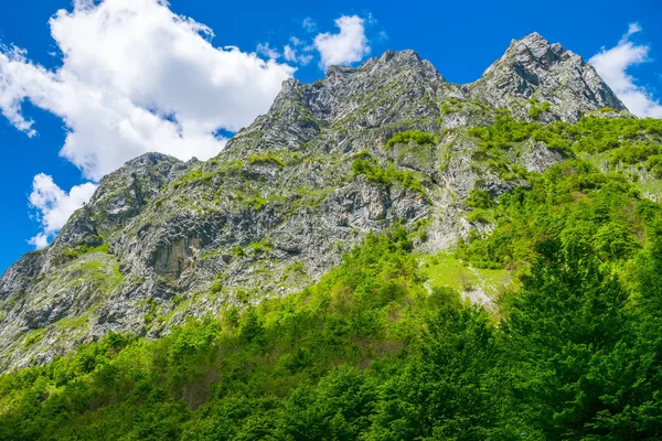 Vacker Utsikt Över Snöklädda Toppar Höga Berg — Stockfoto