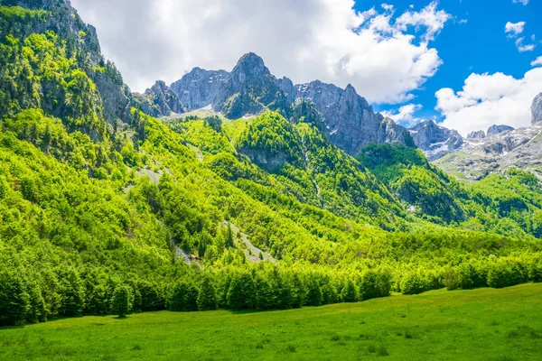 Мальовничі Луки Ліси Серед Високих Гір — стокове фото