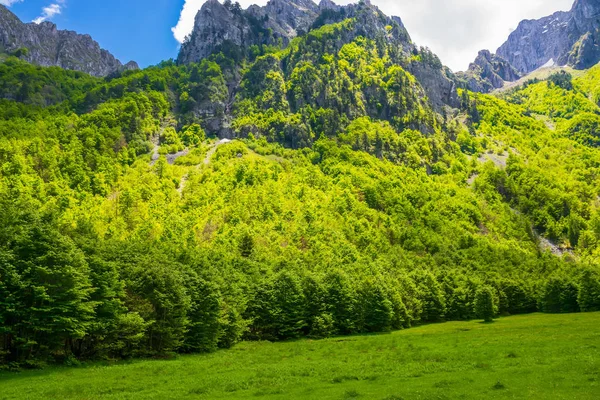 Prados Pitorescos Florestas Entre Altas Montanhas — Fotografia de Stock