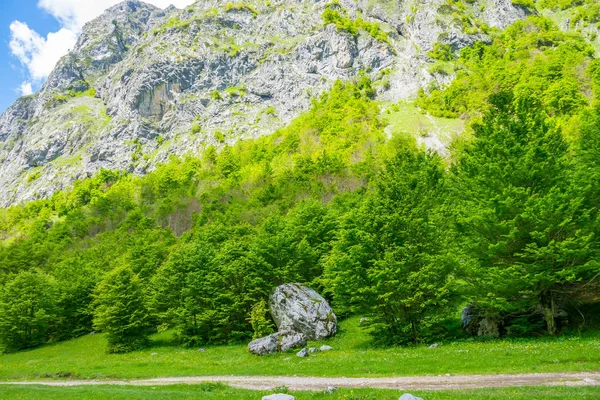 Malerischer Blick Auf Schotterpiste Durch Malerische Ebene Inmitten Hoher Berge — Stockfoto