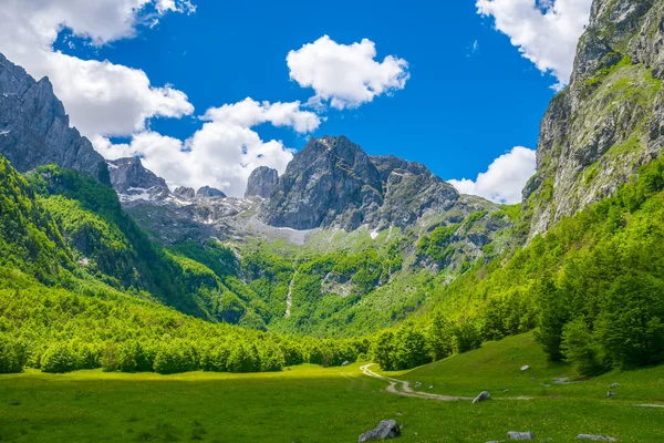 Malerische Wiesen Und Wälder Zwischen Hohen Bergen — Stockfoto