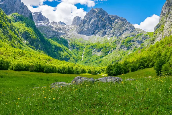 Prados Pitorescos Florestas Entre Altas Montanhas — Fotografia de Stock