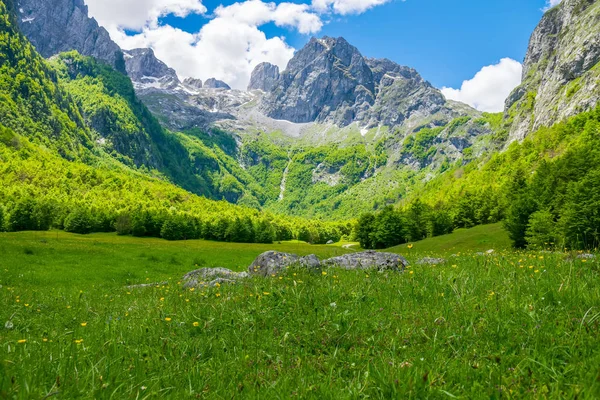 Prados Pitorescos Florestas Entre Altas Montanhas — Fotografia de Stock