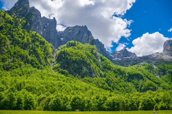 Malowniczego Lasu Łąk Wśród Wysokich Ośnieżone Góry — Zdjęcie stockowe