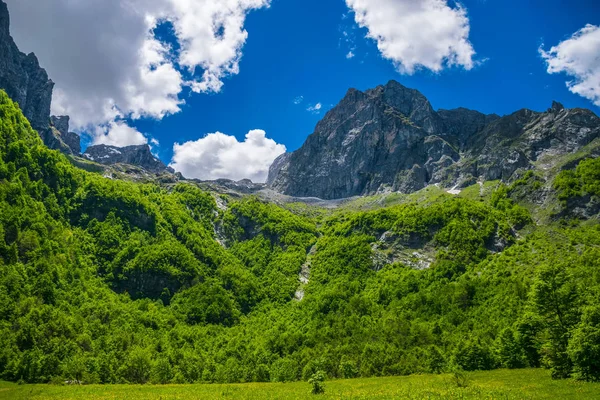 美しい森や牧草地高い雪をかぶった山の中で — ストック写真