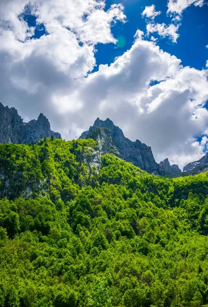 Мальовничі Ліси Луки Серед Високих Засніжених Гір — стокове фото