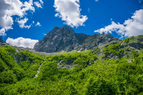 Aussichtsreiche Wälder Und Wiesen Zwischen Hohen Schneebedeckten Bergen — Stockfoto