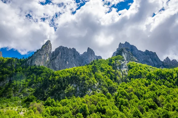 Yüksek Dağları'nın karlı zirveleri doğal görünümünü