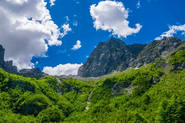 Malerischer Blick Auf Schneebedeckte Gipfel Des Hochgebirges — Stockfoto