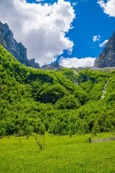 Aussichtsreiche Wälder Und Wiesen Zwischen Hohen Schneebedeckten Bergen — Stockfoto