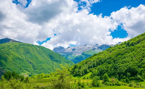 Мальовничі Ліси Луки Серед Високих Засніжених Гір — стокове фото