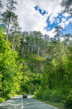 Karadağ - 29 Mayıs 2017: pitoresk yol geçtiği dağlar ve kanyonlar Karadağ