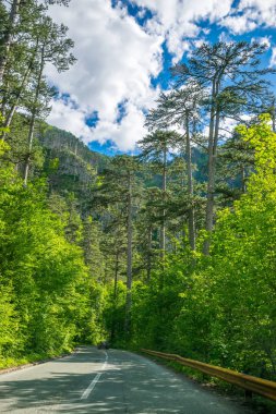 Karadağ - 29 Mayıs 2017: pitoresk yol geçtiği dağlar ve kanyonlar Karadağ