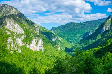 Açılış manzara Bridge içinde Djurdjevic kuzeyinde Karadağ