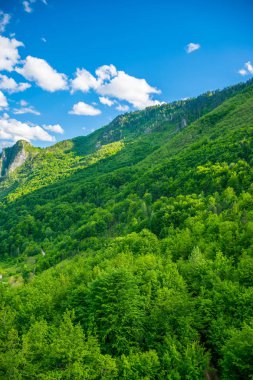 Açılış manzara Bridge içinde Djurdjevic kuzeyinde Karadağ