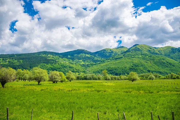 Mooie Groene Weide Onder Hoge Besneeuwde Rotsen — Stockfoto