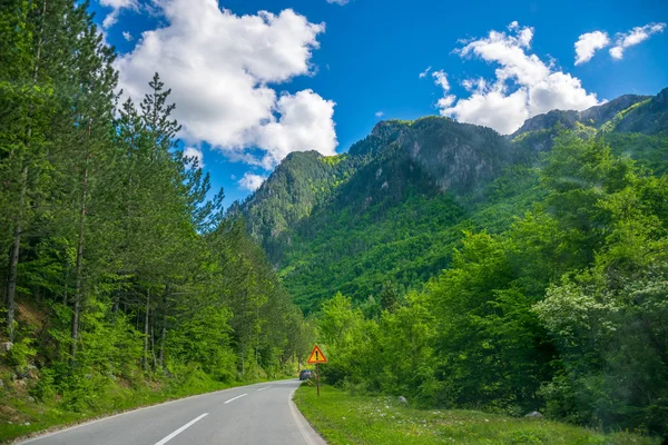 Czarnogóra Maja 2017 Malownicza Droga Przechodzi Przez Gór Kanionów Czarnogóra — Zdjęcie stockowe