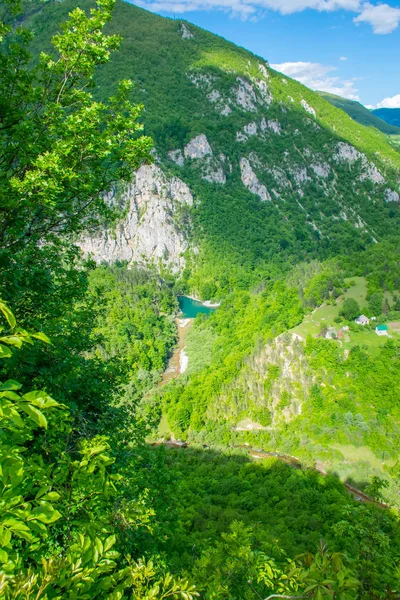 Vista Desde Altura Del Cañón Hasta Río Tara — Foto de Stock